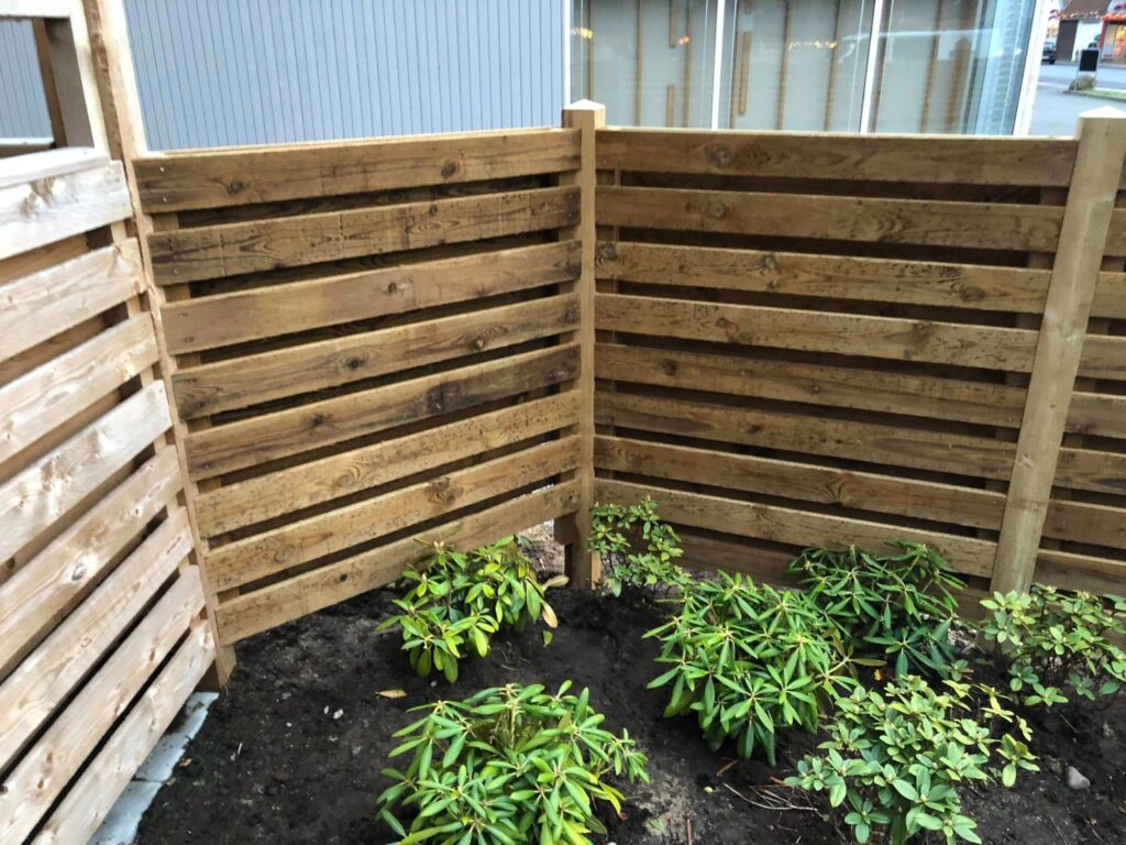 Imgi 221 472412785 122135684816499504 454729710829976458 N